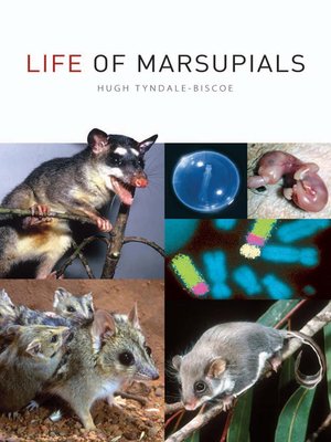 cover image of Life of Marsupials